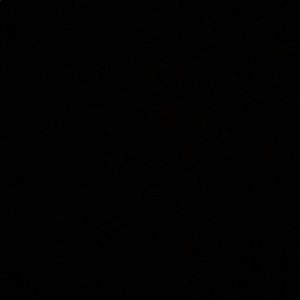 Meet your Posher, Rayan